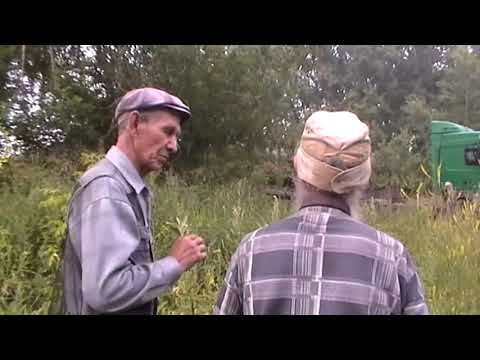 Видео: №1  Привезли бульдозер. До ночи снимали с трала. 25.07.2019