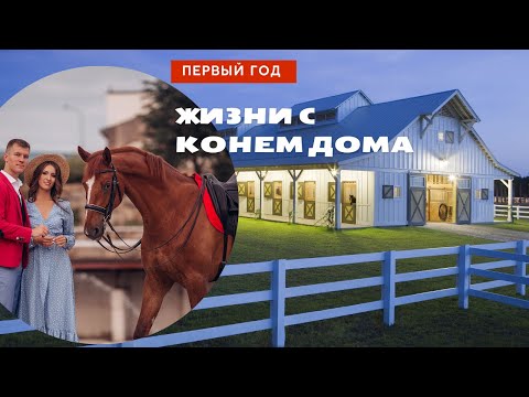 Видео: Жизнь с лошадьми дома