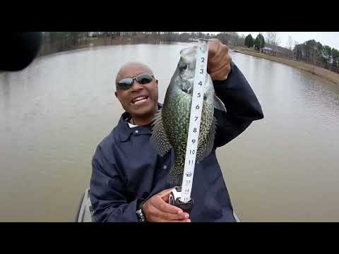 Видео: 💥💥КРАППИ-ХОЛЕ 2020 ВЕСЕННИЙ КРАППИ. ЧТО ИСПОЛЬЗОВАТЬ И КАК ЕГО ИСПОЛЬЗОВАТЬ💥💥