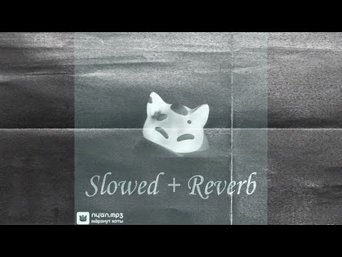 Видео: nyan.mp3 - Мёрзнут коты    (Slowed + Reverb)