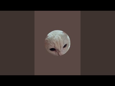 Видео: Бомж Вася в прямом эфире!