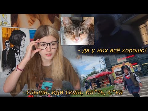 Видео: как мы хотели спасти котят, а нас материли