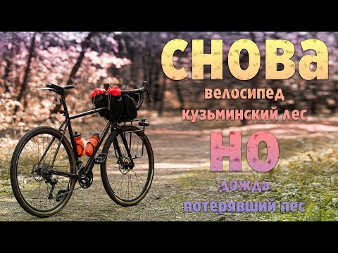 Видео: Снова велосипед, лес, но...