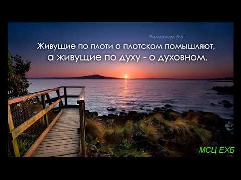Видео: "Признаки духовной зрелости". Д. Таскаев. Проповедь. МСЦ ЕХБ.