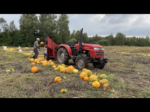 Видео: Збір та мийка гарбузового насіння. Комбайн Moroz 1500 + Shifeng