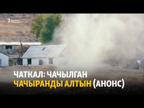 Видео: Чаткал: Чачылган чачыранды алтын (анонс)