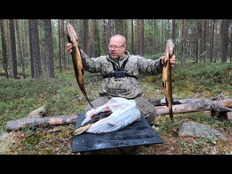 Видео: Рыбалка в Карелии. Боевые щуки таёжного озера.