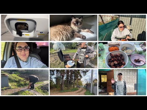 Видео: 🏡КУПИЛИ ДАЧУ🍢ЕДЕМ НА ШАШЛЫКИ ВСЕЙ СЕМЬЕЙ!/🤪МУЖ ВОРЧИТ НА МЕНЯ/ СУПЕР НОВЫЙ ЛОТОК ДЛЯ 🐈КОШЕЧКИ🥰