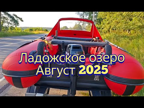 Видео: Рыбалка с лодки на Ладожском озере/Щучка на вечерку/Август2025