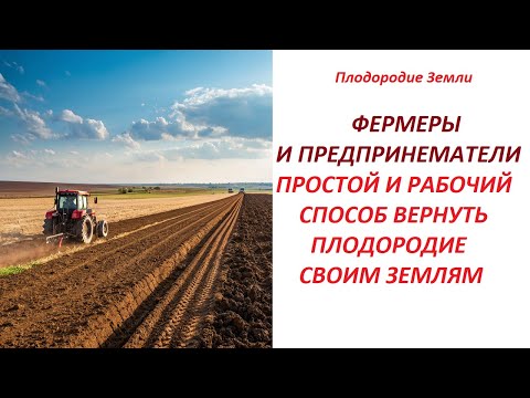 Видео: Как в поля ВЕРНУТЬ ПЛОДОРОДИЕ  и  убрать подплужную подошву №678/24