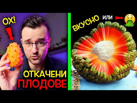 Видео: Откачени ПЛОДОВЕ, които НЕ ЗНАЕХТЕ, че СЪЩЕСТВУВАТ