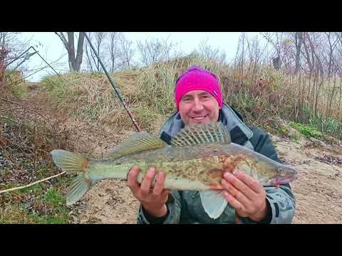 Видео: ПРИПЯТЬ / МЕСТО КУДА ХОЧЕТСЯ ВЕРНУТЬСЯ