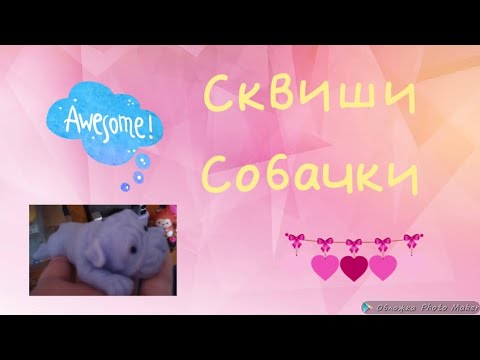 Видео: Сквиши собачки. Новая фиолетовая собачка? Как назвали? 