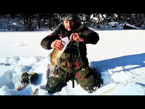 Видео: Зимняя рыбалка в тайге на ленка и хариуса. Новые приспособления на крупного ленка. Рыбалка в Сибири.