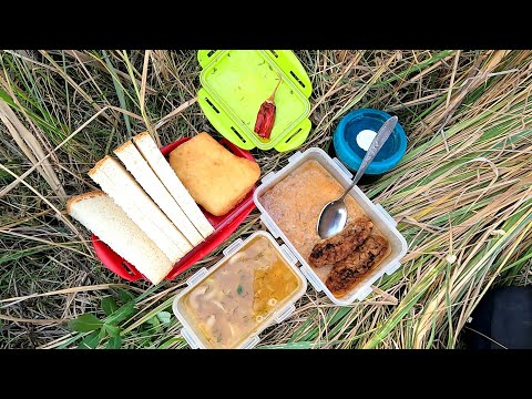 Видео: Дежурство в поле, хороший обед и свежий воздух!