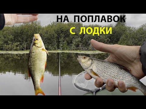 Видео: ЛОВЛЯ НА ПОПЛАВОК С ЛОДКИ