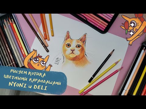 Видео: РИСУЕМ МИЛОГО КОТИКА цветными карандашами NYONI и DELI🐱