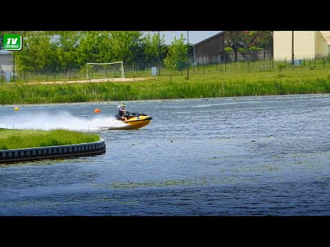 Видео: Летние зарисовки с озера Ковшу в Резекне. Муравьи. Жучки.