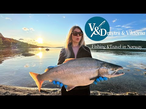 Видео: РЫБАЛКА в Норвегии! ГОРБУША идет на нерест. Финал. История. Готовим роллы из свежепойманного ЛОСОСЯ!