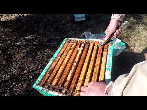 Видео: Зачем мне метод Блинова и Гопки!