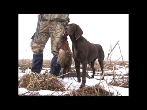 Видео: Състезание между съфорумци от БГ ЛОВ