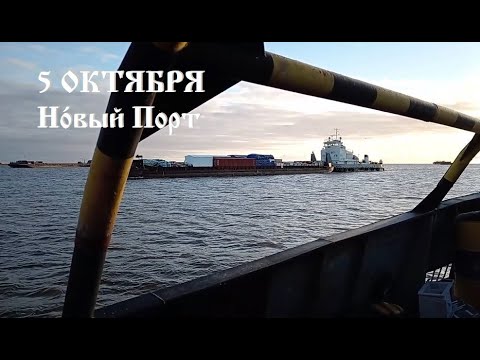 Видео: 5 октября