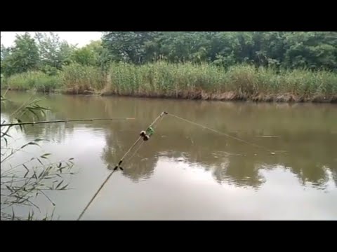 Видео: Рыбалка на Аксае. 1июня