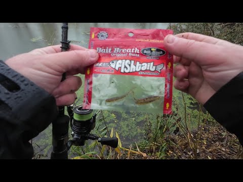 Видео: Рыбалка на "приманку чемпионов!"😁