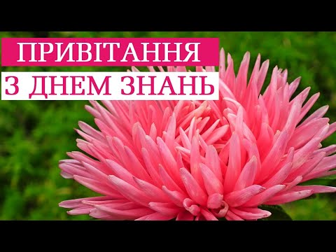 Видео: Привітання з 1 вересня. День знань. Вірш