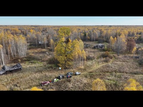 Видео: В КИЛЕМАРСКОЙ ТАЙГЕ. Часть 1