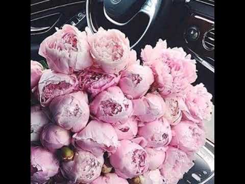 Видео: Abi Rnb - Не обещай