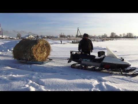 Видео: Рысь с грузом почти 0,5 тонны по снегу!