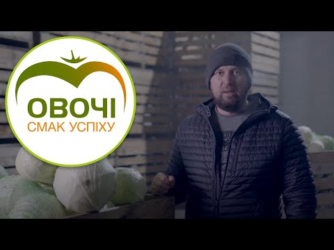 Видео: Зберігання капусти. Частина 3 | Овочі.Смак успіху