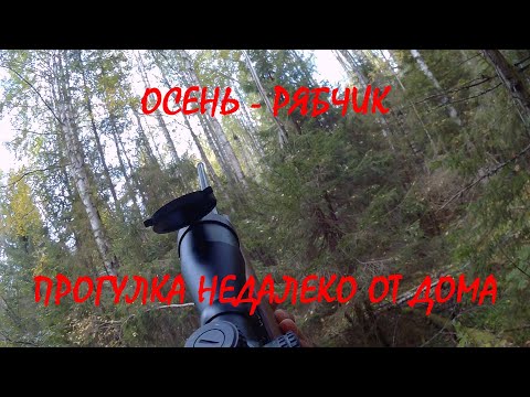 Видео: Солонцы для зайца и прогулка за рябчиками