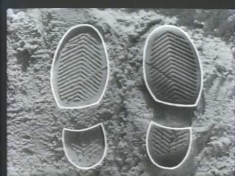 Видео: Трасология.Часть 1