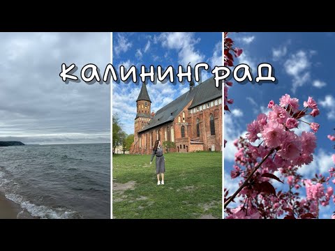 Видео: vlog: 4 дня в Калининграде | Светлогорск, Зеленоградск, Куршская коса