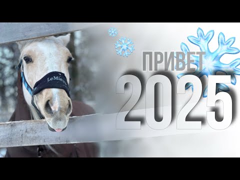 Видео: Долгий влог для тех, кто соскучился