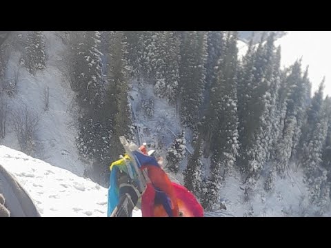 Видео: Paul Gilbert Help Guitar Живая гитара Алга Казахстан 🇰🇿 Ищу жену Добрую #стрим #stream