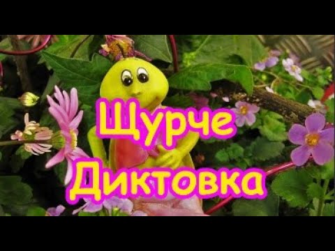 Видео: Щурче - Диктовка (4 клас)