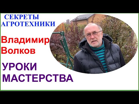 Видео: Виноград на севере Подмосковья. Несколько вопросов Владимиру Волкову.