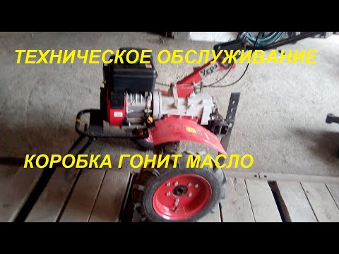 Видео: Мотоблок Угра - Техническое обслуживание ! Коробка гонит масло!