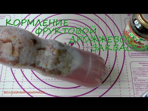 Видео: КОРМЛЕНИЕ ФРУКТОВОЙ дрожжевой воды//освежение фруктовой воды//vlog life