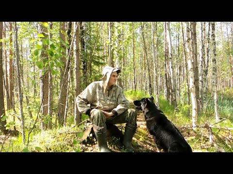Видео: Тропами по канавам и первые грибы.