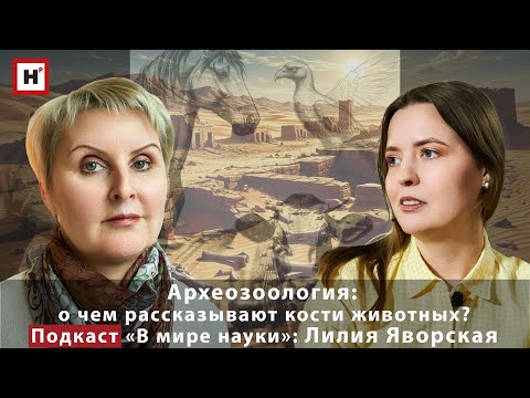 Видео: Археозоология: о чем рассказывают кости животных? Подкаст «В мире науки»: Лилия Яворская