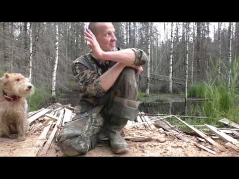 Видео: Тайна лесной речушки. Ищем истоки Вяленки.Урочище Шведские горы.