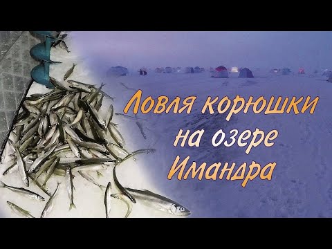 Видео: Ловля корюшки на озере Имандра / Smelt fishing on lake Imandra