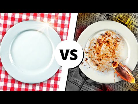 Видео: ЖИТЬ НА СЪЁМНОЙ ХАТЕ vs В ОБЩАГЕ