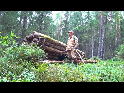 Видео: Сумасшедшие находки в гулаговской тайге. Жизнь и пайка хлеба. Таежный рай.