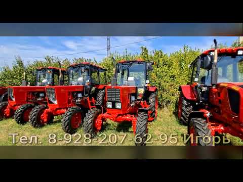 Видео: Трактор Беларус. Цены сентябрь 24 года.