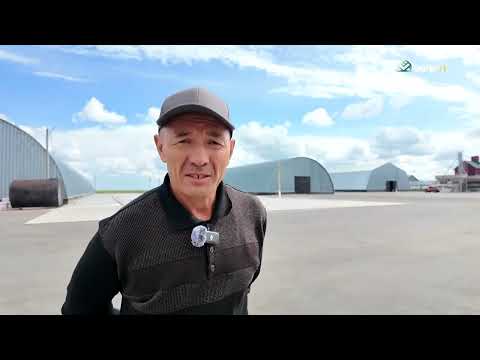 Видео: Аграрлы Қазақстан: Уәлиханов ауданының жетістіктері